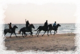  Galope en la playa 