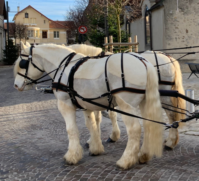  Idea para un paseo familiar en Sena y Marne