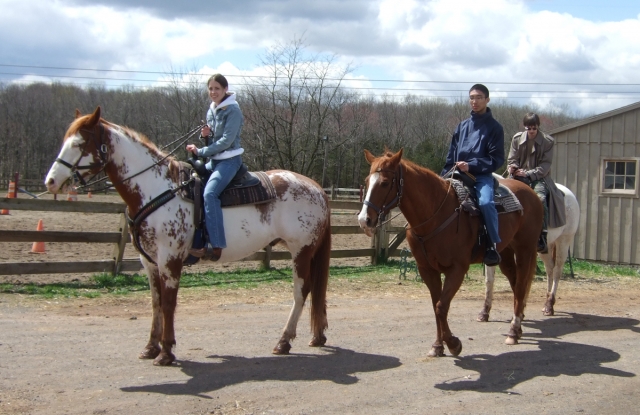  Subir a caballo y subir a caballo en Essonne 
