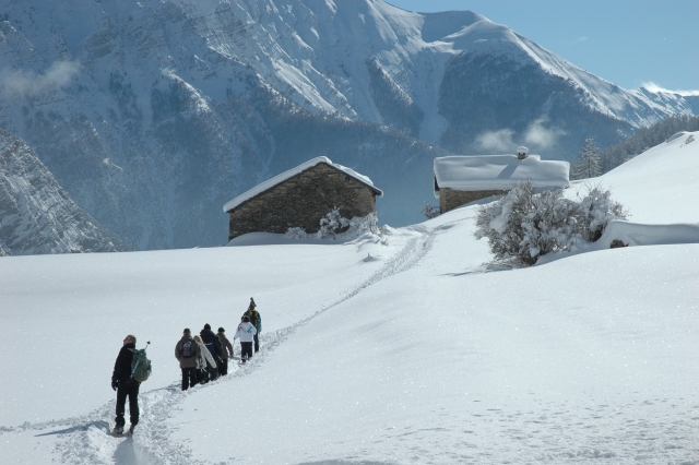 Camicrema de invierno 