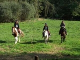  Jinetes en la naturaleza 