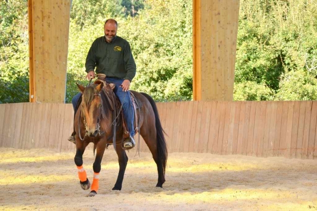 Clases de equitación con la granja Vieille roule 