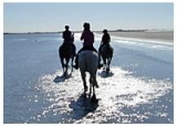  Pbaños a caballo en Carmargue con Equibauges 