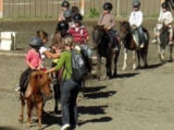  Pbaños a caballo para niños con las Ecuries des Ecrins 
