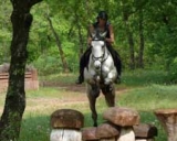  Descubrimiento de los caballos en los Alpes 