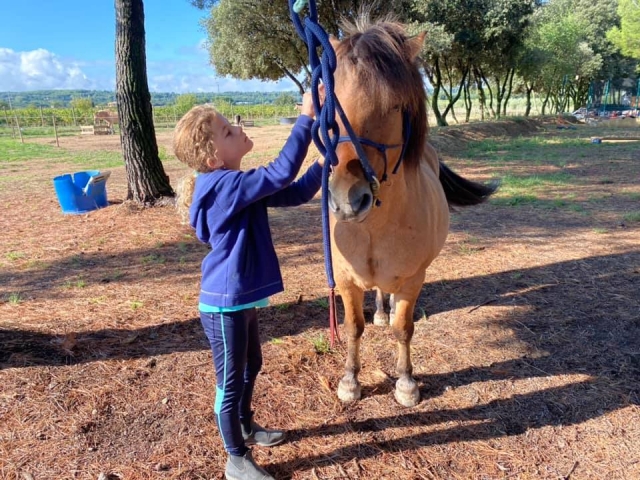  Paseo en pony en Vaucluse 