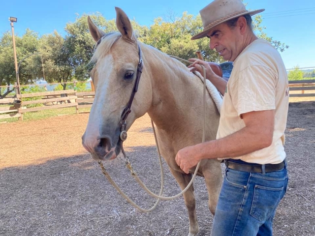  Preparación del caballo 