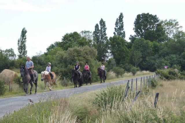 Por los campos 