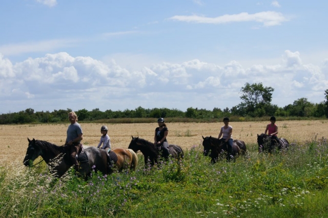  Equitación y turismo ecuestre en la Gironda 