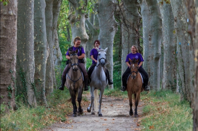  En los bosques de Aude 