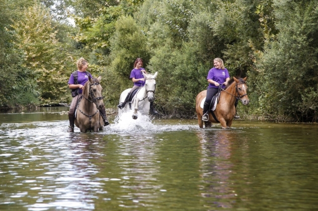  Refrescanle paseo a caballo