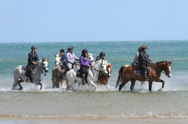  Al borde del mar 