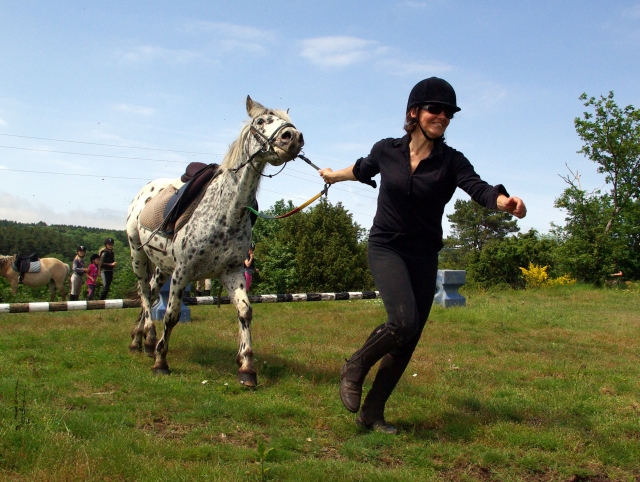  Trec 
