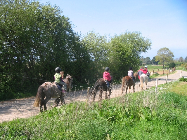  paseo en pony 
