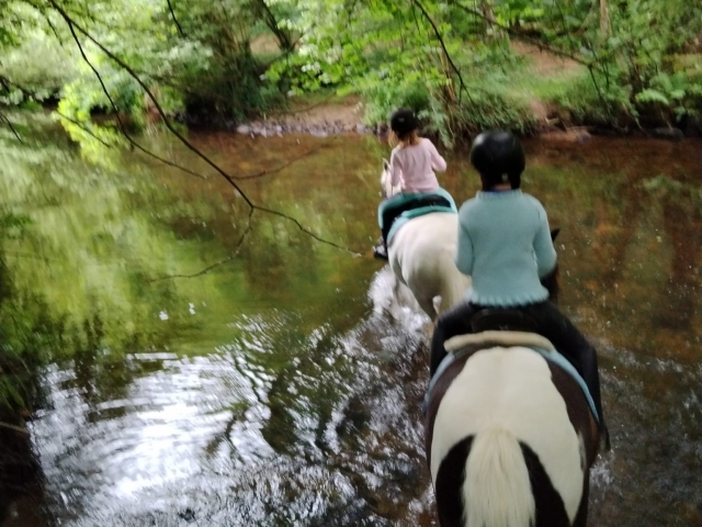  Caminamarras y pbaños a caballo en Saint Péver 