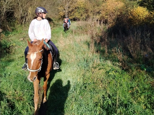 Pbaños a caballo Saint-Adrien 