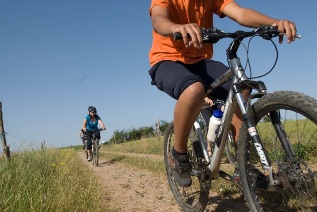  Bicicleta de cerro y bicicleta eléctrica 