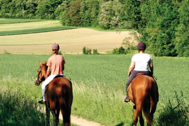  Pbaños a caballo en el departamento de Tarn 
