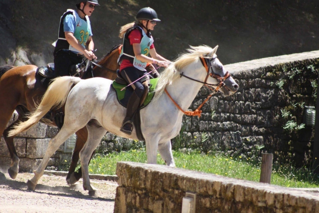  Clases de equitación cerca de Limoges 