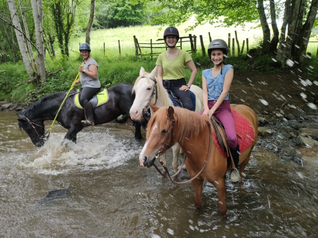  Refrescanle paseo a caballo 