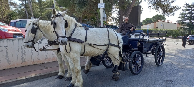  Paseo en carruaje por los Alpes -Maritimes 
