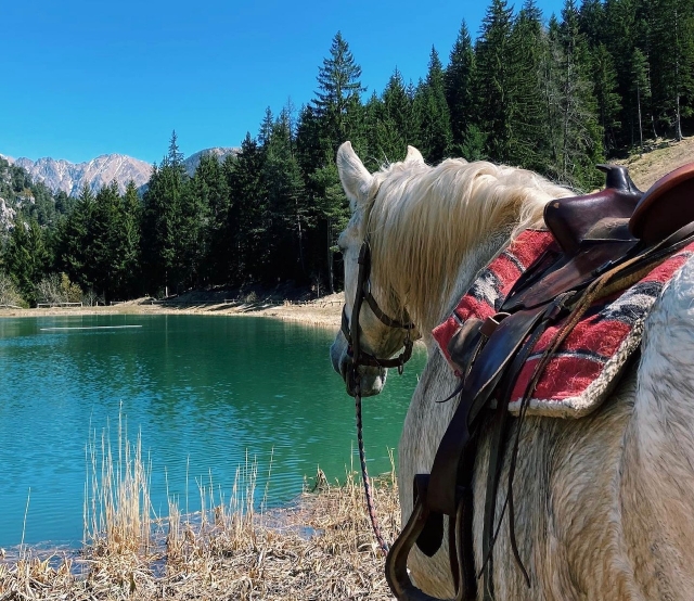  Paseo a caballo en el Parque del Mercantour 