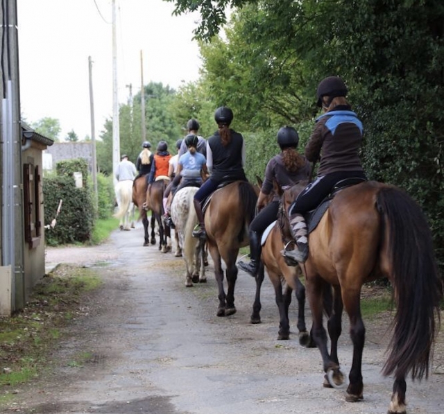  Equitación para todos los niveles La Mailleraye-sur-Seine 