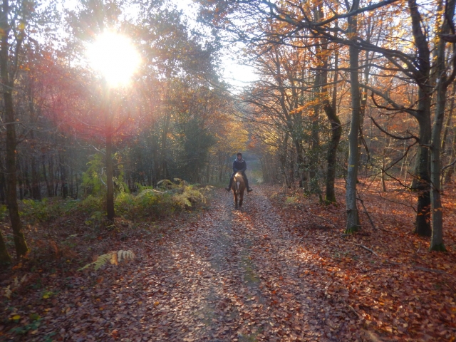  En los bosques de Perruel 