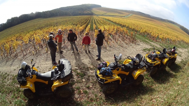  Descubrimiento de Borgoña en quad