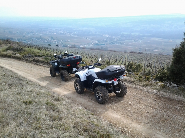 Vista de Santenay. Côle d'or 