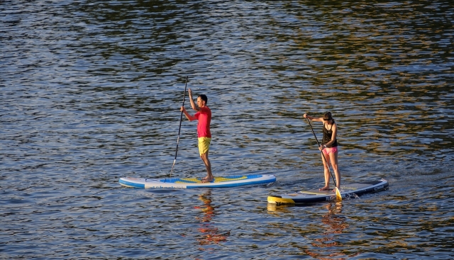 Salida de Stand Up Paddle para dos Paddle 