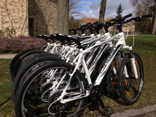  Paseo en bicicleta de cerro por el bosque de Fontainebleau 
