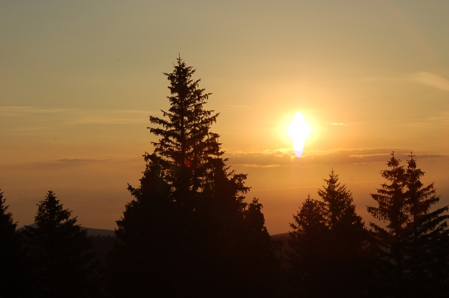 Descubrimiento de la fauna y la flora 