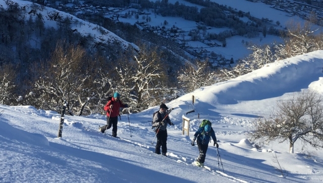  Raquetas de nieve en la nieve 