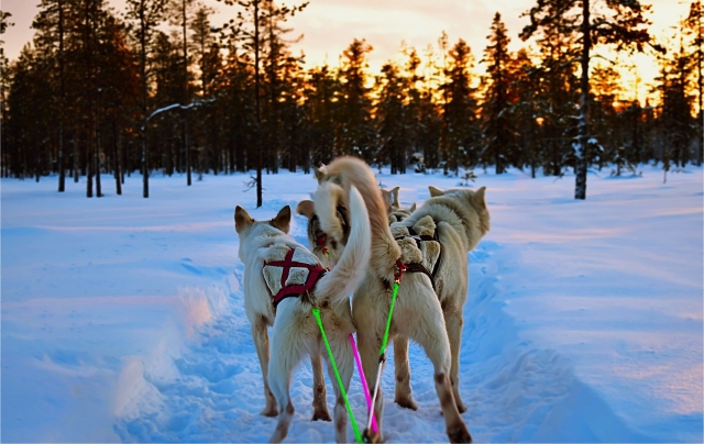  Actividad mágica en un entorno mágico 