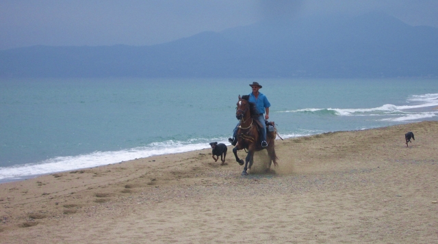  A orillas del mar a caballo