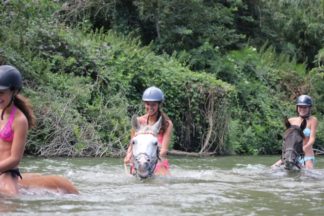  Adentrarse en el agua a caballo 
