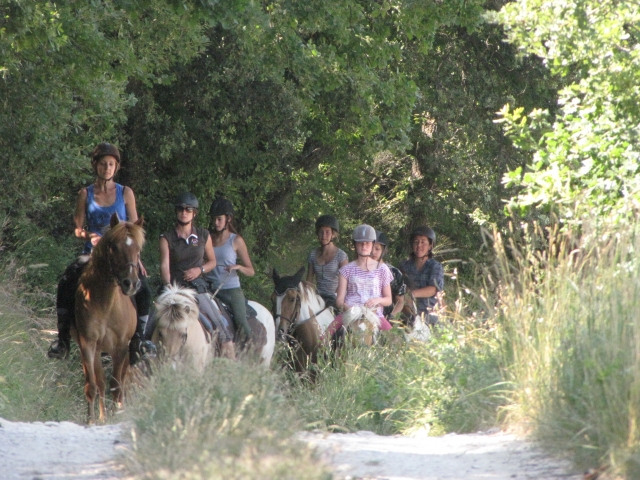  Equitación en Vaucluse 