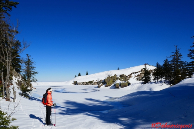  Camicrema en la cerro bajo la nieve