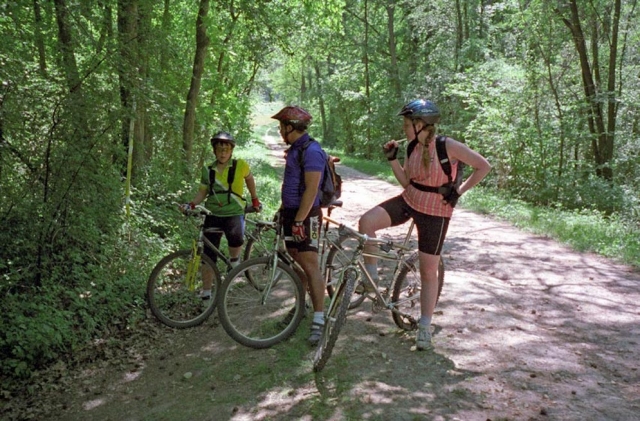  Actividad en familia 