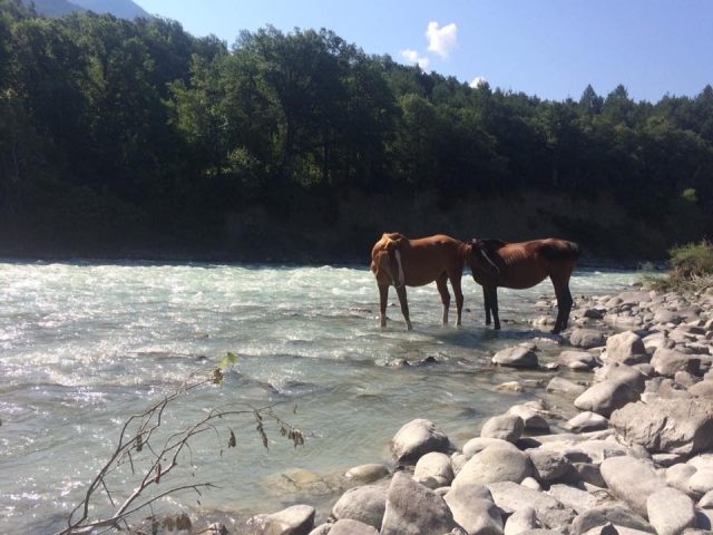  entorno natural Durance