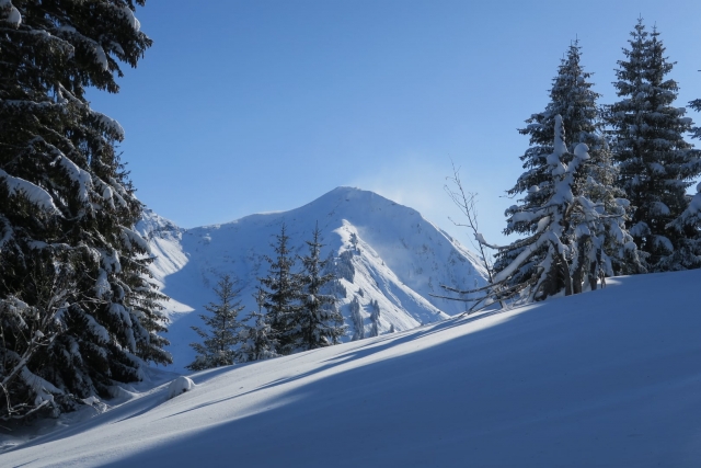 Raquetas de nieve 
