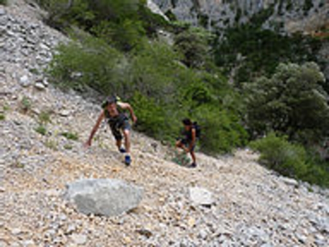  Camicrema vertical 