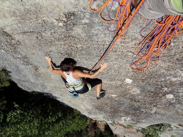  Concentración óptima 