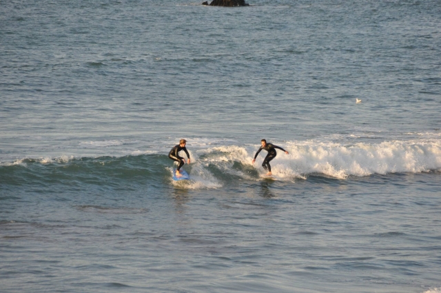  Venga solo o acompañado 