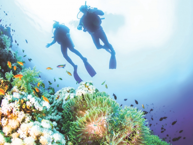  Descubrimiento de la vida silvestre 