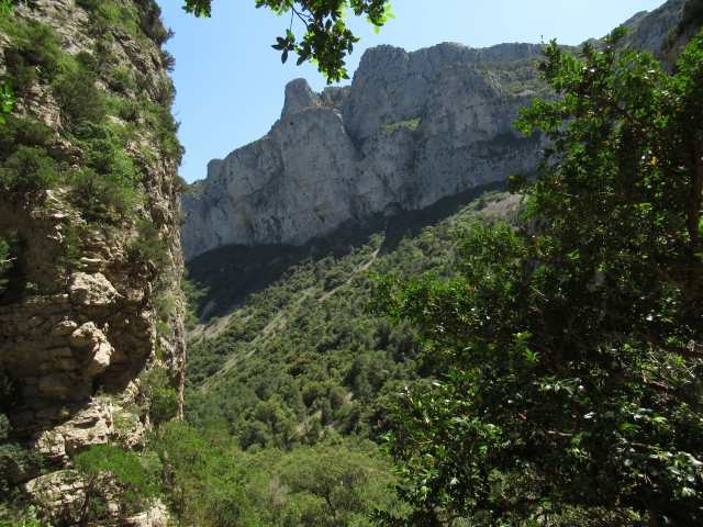  El valle del Hérault 