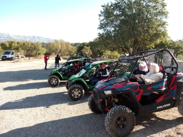  Actividad en buggy 
