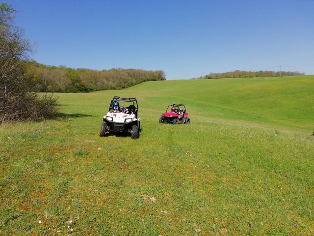 Paseo en buggy 