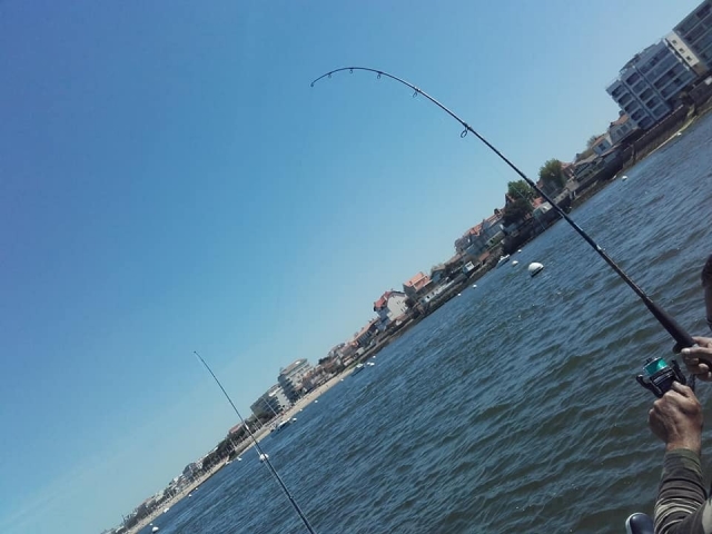  Renta de barco de pesca 